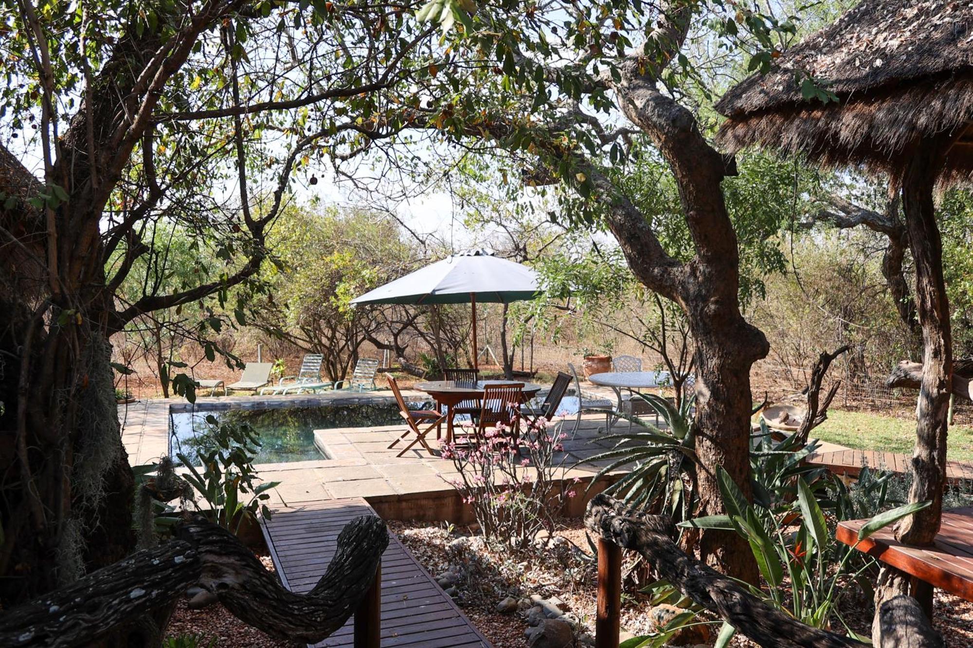 Call Of The Wild Lodge Hoedspruit Exteriör bild
