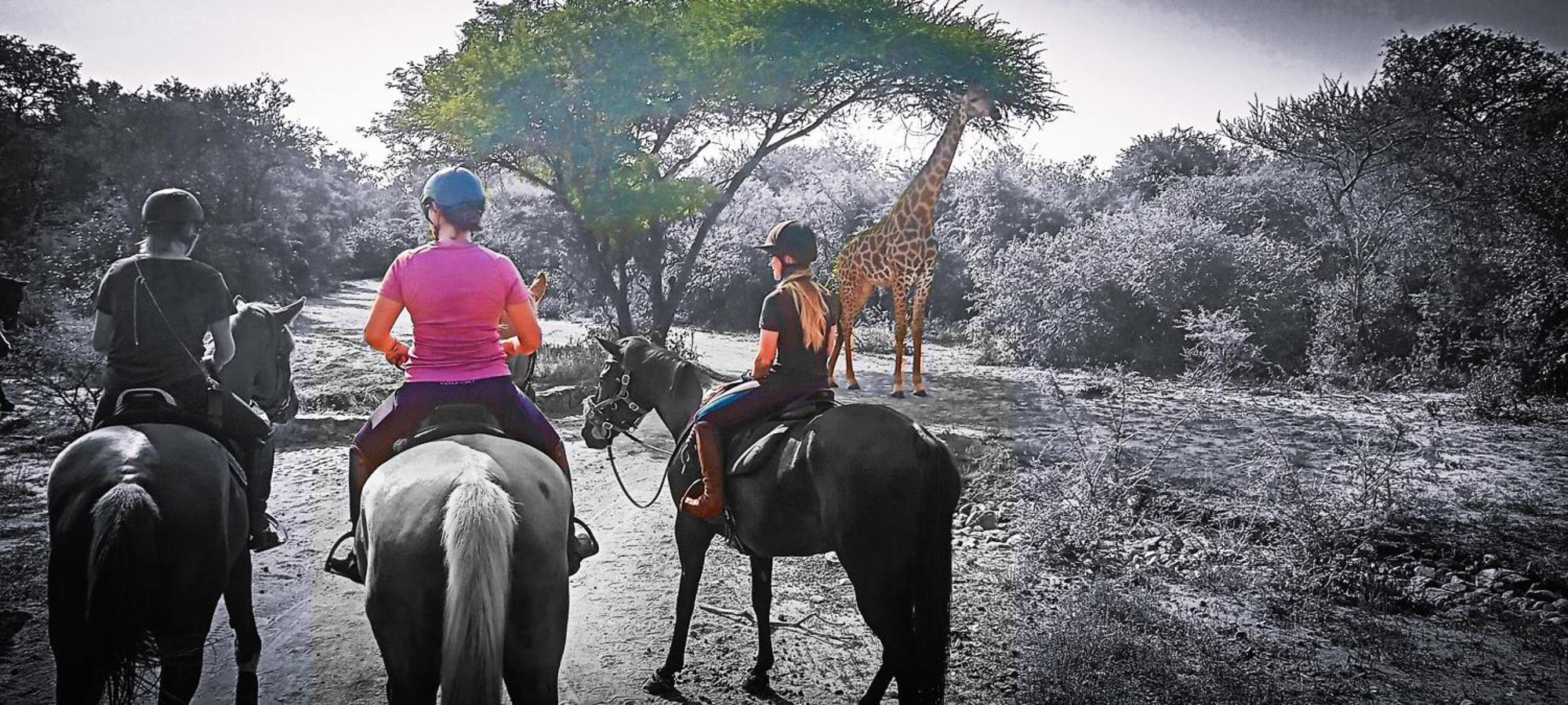 Call Of The Wild Lodge Hoedspruit Exteriör bild