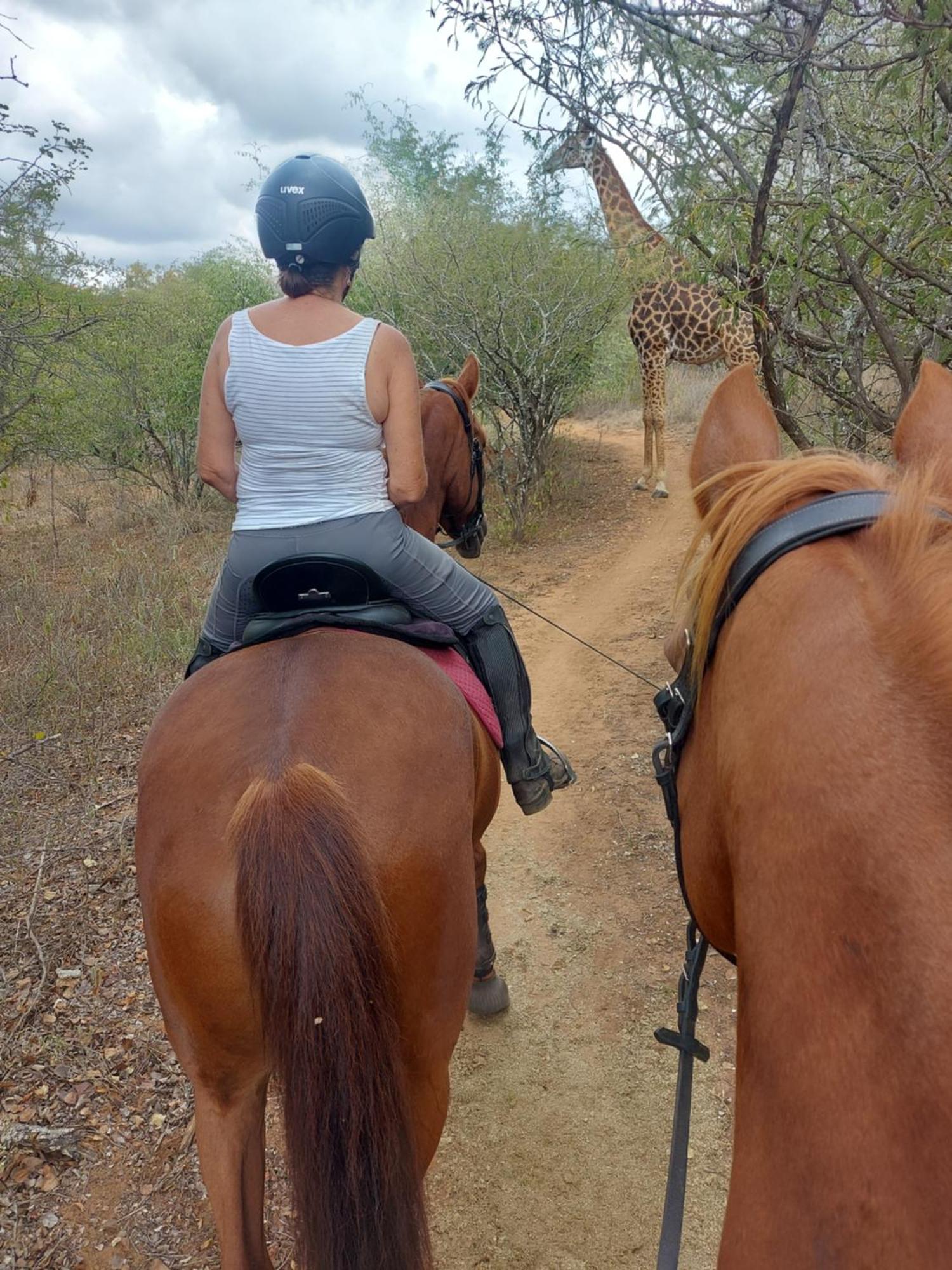 Call Of The Wild Lodge Hoedspruit Exteriör bild